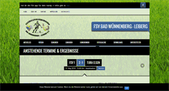 Desktop Screenshot of die-fsv.de